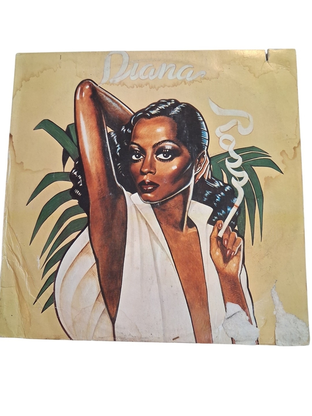 Diana Ross Vynil Album